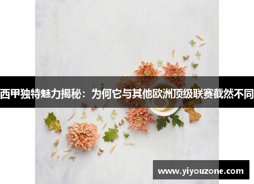 西甲独特魅力揭秘：为何它与其他欧洲顶级联赛截然不同